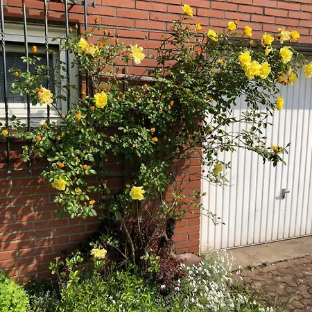 Bocholter Gartenblick *